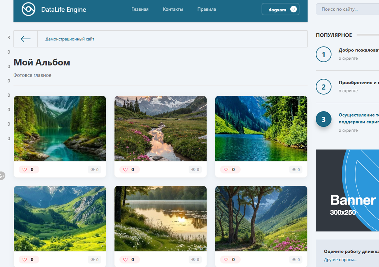 Внешний вид альбома на сайте